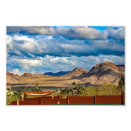 Joshua Tree フォトプリント (正面)