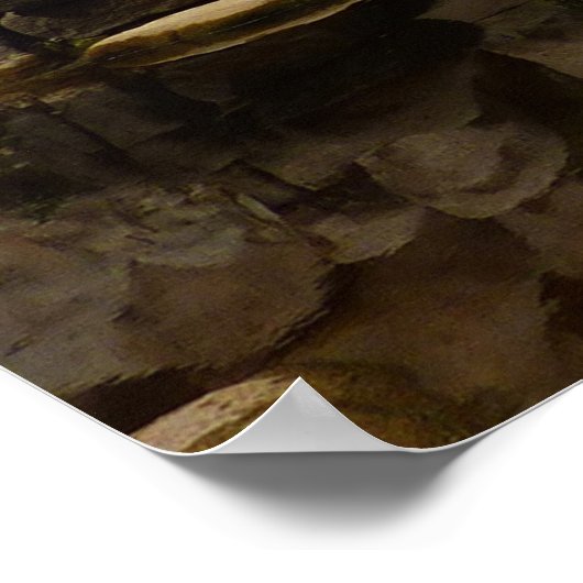 Joshua Tree Iでのバーカーダムの反射 ポスター (角)