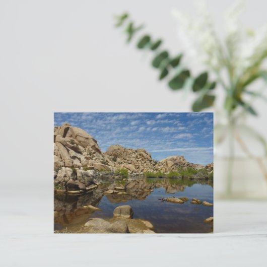 Joshua Tree Iでのバーカーダムの反射 ポストカード (スタンド正面)