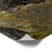 Joshua Tree IIでのバーカーダムの反射 ポスター (角)