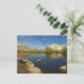 Joshua Tree IIでのバーカーダムの反射 ポストカード (スタンド正面)