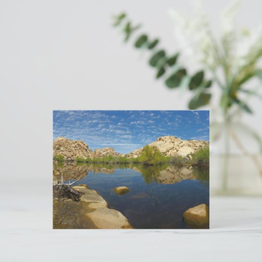 Joshua Tree IIでのバーカーダムの反射 ポストカード (スタンド正面)