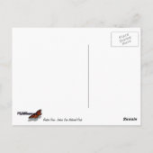 Joshua Tree IIでのバーカーダムの反射 ポストカード (裏面)