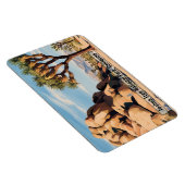 Joshua Tree National Park - Magnet マグネット (右側)