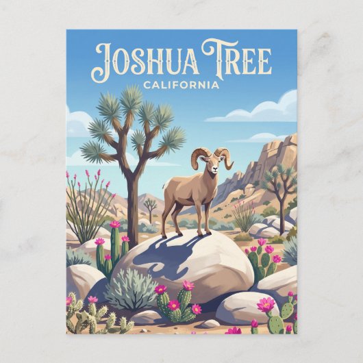 Joshua Tree National Park USA ポストカード (正面)