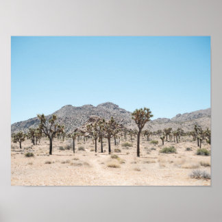 Joshua Tree Park Print Poster Paper (Semi-Gloss) ポスター