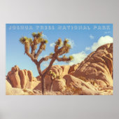 Joshua Trees National Park Landscape Scenery ポスター (正面)