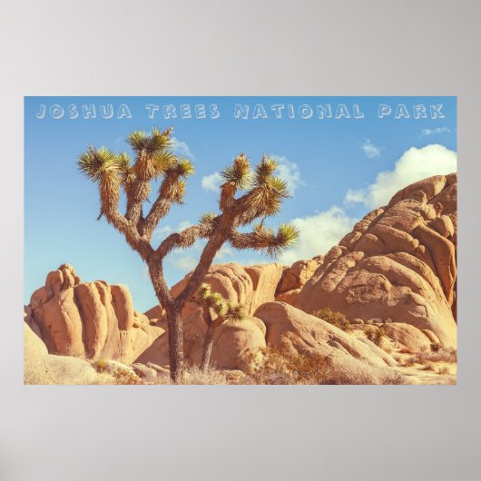 Joshua Trees National Park Landscape Scenery ポスター (正面)