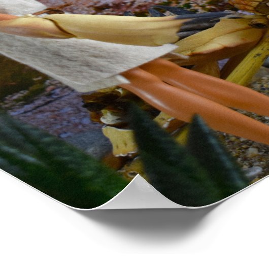 Journey to the狩りグラウンド。 ポスター (角)