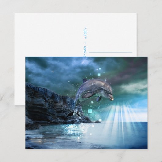 JOY – はがき (正面/裏面)