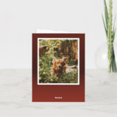 JOY 2フォトタイポグラフィクリスマス シーズンカード (裏面)