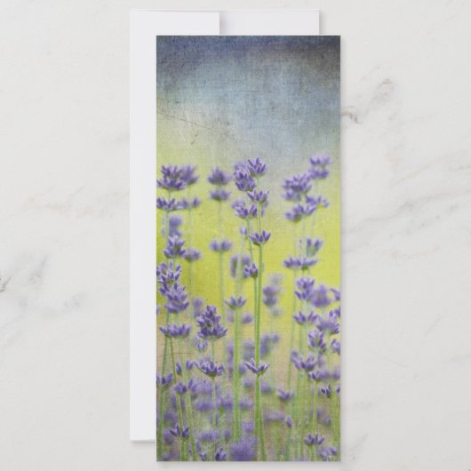 Joy Everydayブックマークを検索 (裏面)