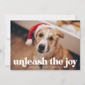 Joy Green Dogの写真を解き放つ シーズンカード (正面)