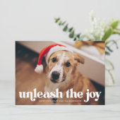 Joy Green Dogの写真を解き放つ シーズンカード (スタンド正面)