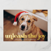 Joy Navy Dogの写真を展開 箔シーズンカード (正面)