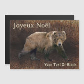 Joyeux Noё - Kodiak Bear On Caribou Fur (正面/裏面)