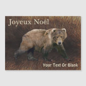 Joyeux Noё - Kodiak Bear On Caribou Fur (正面)