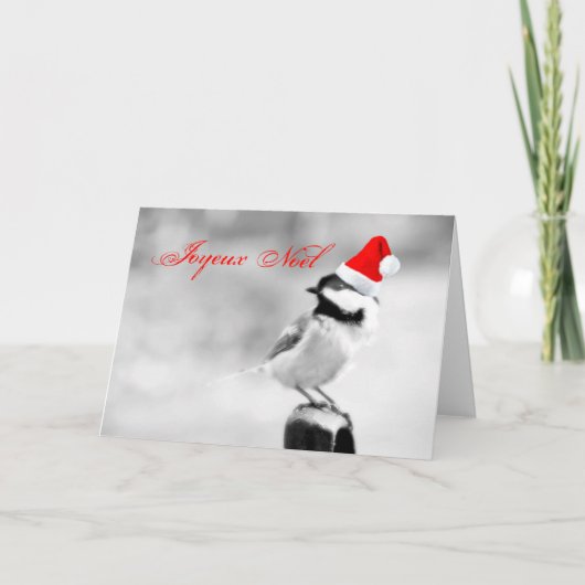 Joyeux Noelサンタの《鳥》アメリカゴガラ シーズンカード (正面)
