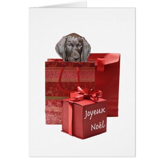 Joyeux Noelドイツの短いポインタの子犬 (正面)
