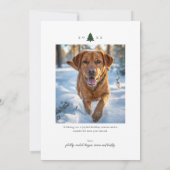 Joyful Minimalist Holiday Photo シーズンカード (裏面)