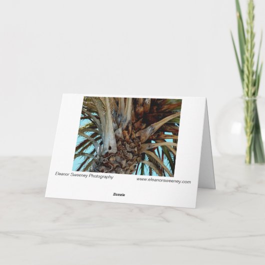 "Joyful Palm"青い空の木の上に閉じる カード (裏面)