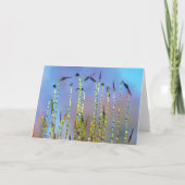 Joyful, Serene, Stories in Nature Dew Drop カード (正面)