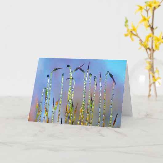 Joyful, Serene, Stories in Nature Dew Drop カード (黄色い花)