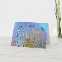 Joyful, Serene, Stories in Nature Dew Drop カード