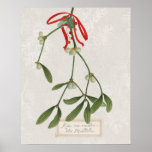 Joyful Tidings | Kiss Me Under The Mistletoe ポスター<br><div class="desc">Include this classic watercolor Christmas print in your yearly holiday décor | By Sue Schlabach</div>