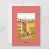 Joyful Wishes赤いスクリプトクリスマスフォトコラージュ シーズンカード (裏面)