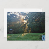 JPD 条3 インビテーションポストカード (正面/裏面)