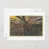 JR Simplot Dehydrating Coのインテリアビュー ポストカード (正面/裏面)