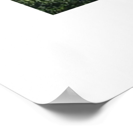 JS12 ポスター (角)