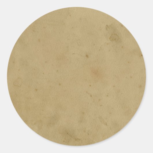 JSBLTブラウンスエード質感パターグランジンBACKGR ラウンドシール (正面)