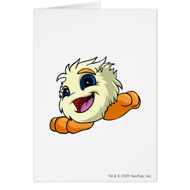 JubJubの白 (正面)