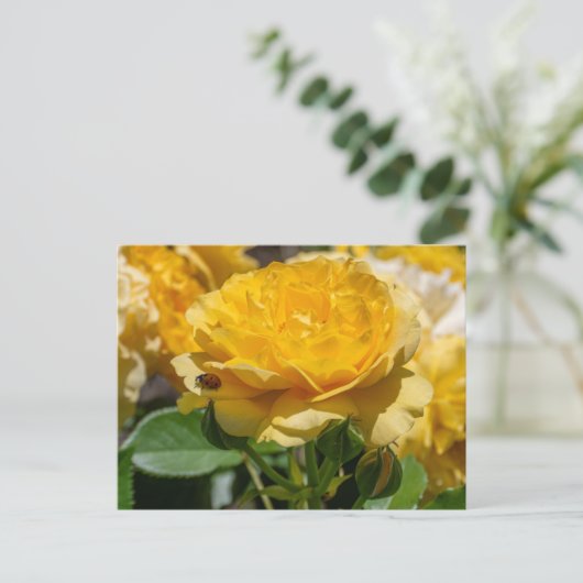 Julia Child Rose ポストカード (スタンド正面)