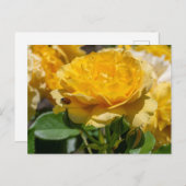 Julia Child Rose ポストカード (正面/裏面)