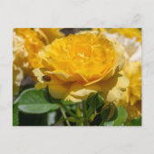 Julia Child Rose ポストカード (正面)