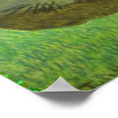 Julia Hannaによる草の上の猫のイリーナ ポスター (角)