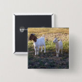 July2008_TwoGoats_v2 缶バッジ (正面&裏面)