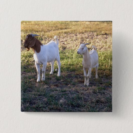 July2008_TwoGoats_v2 缶バッジ (正面)