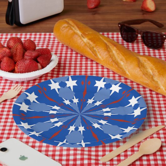 july 4 , 002 Paper Plate ペーパープレート (ピクニック)