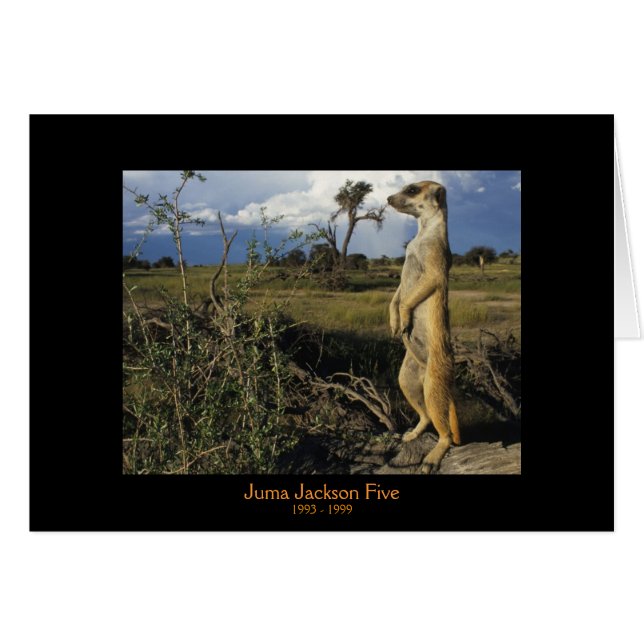 Juma -伝説カード (正面横)