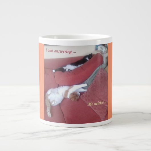 Jumbo Two Cats Napping Photo Mug ジャンボコーヒーマグカップ (正面)