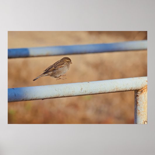 Jump ポスター (正面)