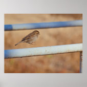 Jump ポスター (正面)