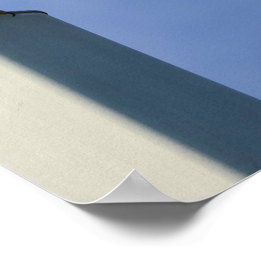 Jumping Eagle ポスター (角)