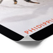 Jumping Spiderセット ポスター (角)