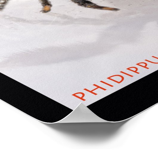 Jumping Spiderセット ポスター (角)