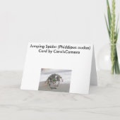 Jumping Spider (Phiddipus audax)ノートカード カード (裏面)